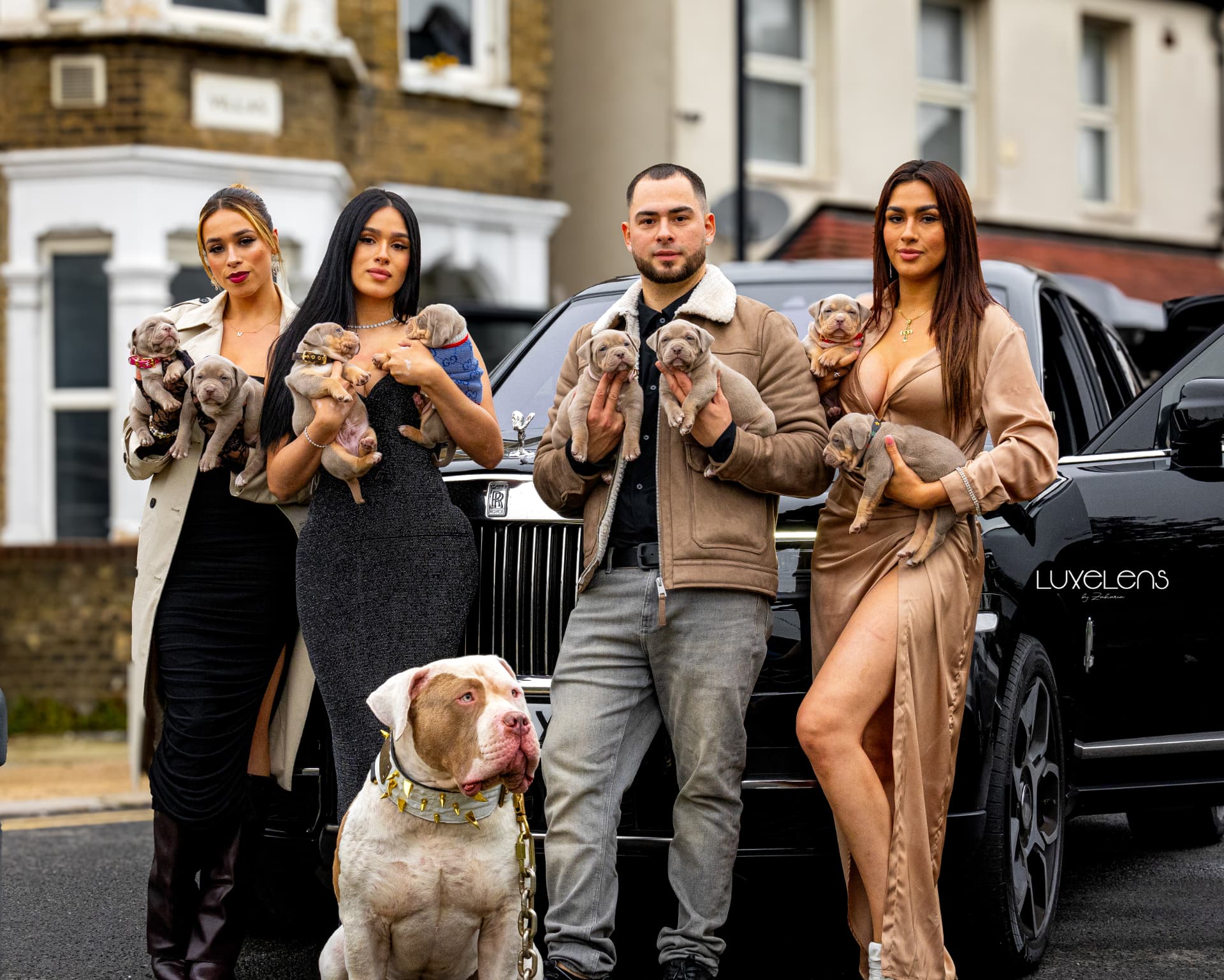 Four owners holding American Bully puppies beside a black Rolls-Royce with an adult bully seated in front
